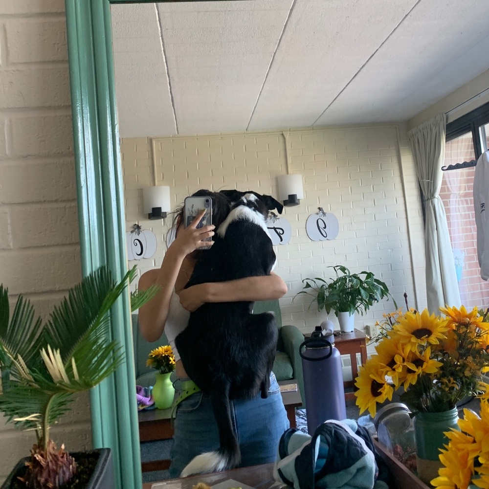 Meet your Posher, Melanie